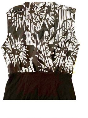 Sleeveless Sheer Blouse